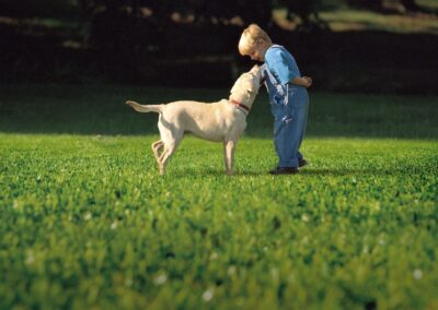 Child and dog enjoying an artificial grass lawn in a garden