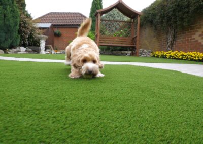 Dog running across newly installed artificial grass lawn in a residential garden
