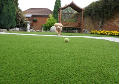 Artificial grass garden installation with dog playing on the lawn