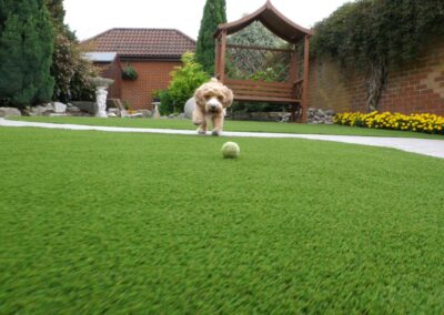 Low-angle view of artificial grass lawn with dog running towards the camera
